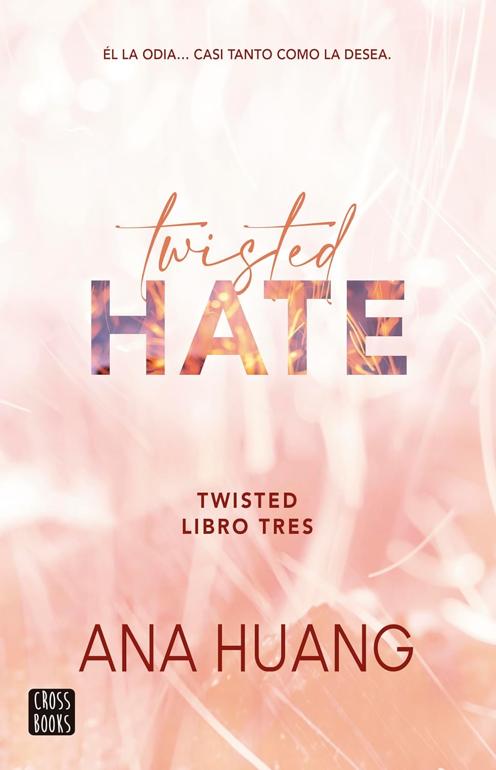 Twisted Hate por Ana Huang