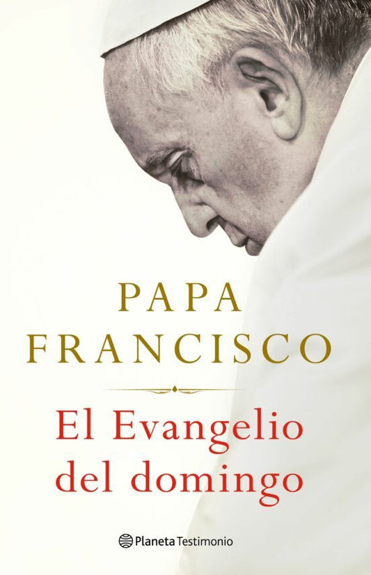 El Evangelio del Domingo por Papa Francisco